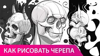 Как рисовать череп человека. Часть 1
