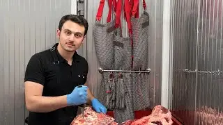 Dana Parçalıyoruz …