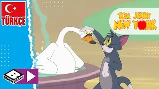 TOM VE JERRY NEW YORK'TA | New York Kovalamacaları| Boomerang TV Türkiye