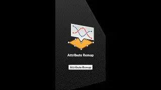 Attribute Remap