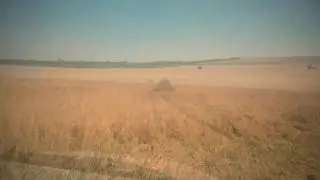 Уборка Палесье