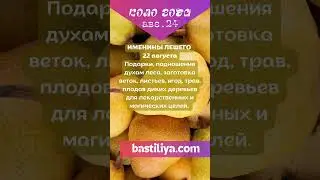 22 августа день Лешего 🔥АВГУСТ 2024🔥Ведьмин календарь. Магия сильных дней. Сильные дни по Колу года.