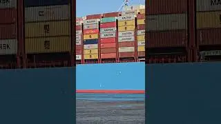 New Type MEGA Ship!🚢