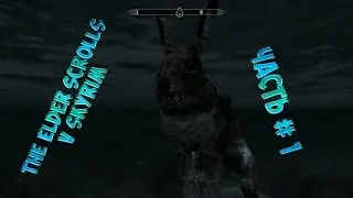 The eldes scrolls V skyrim Дополнительные квесты 