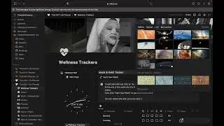 Video Guide/Walkthrough: Notion All-in-One Life planner