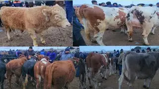 16-12-2023. SAMARQAND PASTDARGOM JUMA MOL BOZORI UTKIR UZ