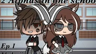 2 Alphas in One School / Gacha Life series / 2 Альфы в одной школе/ гача лайф /перевод на русский /