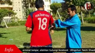 Wingchun Kung Fu Egypt Technique