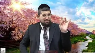 סוד המספרים של פורים