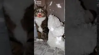 Я с тобой не вожусь 