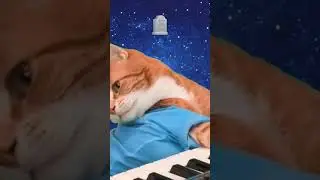 🕊️R.I.P🕊️KET🌹