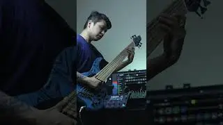 This Tuning is Wild!