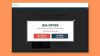 2 step Opt in