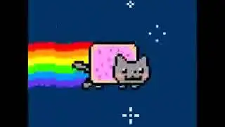 OLHA O GATINHO DO ARCO-ÍRIS 🌈
