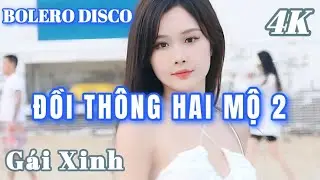 ĐỒI THÔNG HAI MỘ 2 - BOLERO DISCO GÁI XINH MỚI CẬP NHẬT