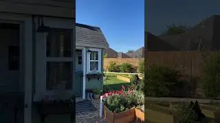 🌸🌹🐦‍⬛🎶🐕 #spring #texas #garden #birds #birdsounds #backyard #morning #plants #flowers #shorts