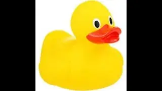 Quackamole is cool and where I upload-