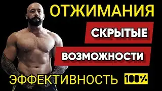 Удивительная Сила Отжиманий