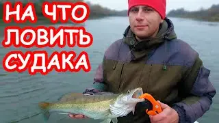 КОГДА ЛОВИТЬ СУДАКА. ЛОВЛЯ ЩУКИ И СУДАКА ОСЕНЬЮ. ПРИМАНКИ НА СУДАКА И ЩУКУ Graphiteleader Super Vivo