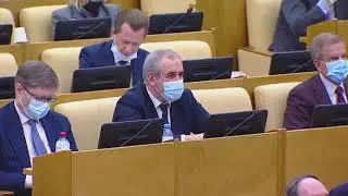 Владимир Жириновский на пленарном заседании 26.11.2020