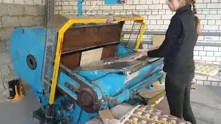 Тигельный пресс ZHHJ 1040