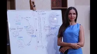 Патология 
