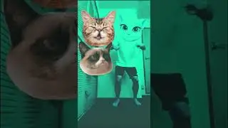 Talking Tom cat #shortskids