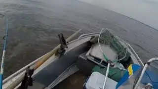 Белое озеро. Щука на 4 кг.