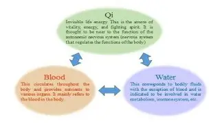 RELATIONSHIP BETWEEN QI & BODY FLUIDS