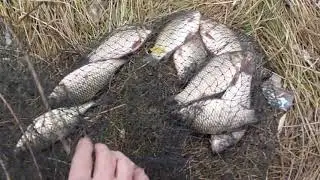 Немецкие озёра...