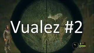 theHunter Call of the Wild - Vualez #2