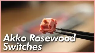 Akko Rosewood Switches | Low-pitched, Deep, and Creamy!