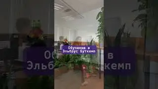 Что взять вместо IPhone 15? 