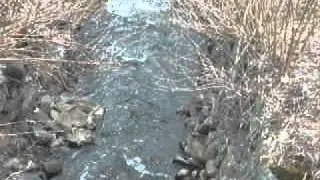canal_path_trail_20110403_lock_7_b.avi