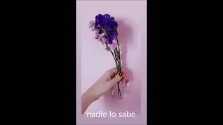 No lloro por ti -  Christina Rosenvinge - Cover