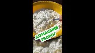 Творог в домашних условиях 💛! Домашний влажный творог на кефире 🥛! Как сделать творог из кефира 🥛🥣?