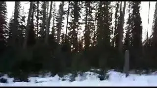 сезон охоты 2022г. Заезд. Поломка лебедки.