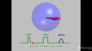 MRI Physics  Part 12 T1 ,T2 and PD اساسيات فيزياء  الرنين المغناظيسي بالعربي