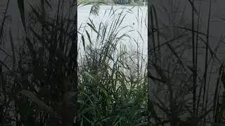 СВЕЖАЙШЕЕ ВИДЕО!😊