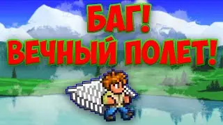 БАГ В ТЕРРАРИИ НА БЕСКОНЕЧНЫЙ ПОЛЕТ!