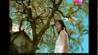 [2004] Lonely Northern Hemisphere MV