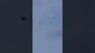 НИКОЛАЕВСКИЕ,ПОЛЕТ БАБОЧКА