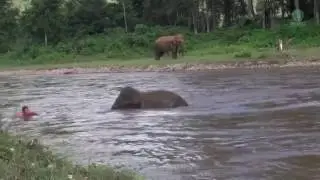 Дружеский и мужественный поступок!