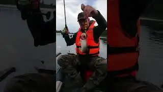 Нашли яму. Думали судака таскать будем) попался один щурёнок))
