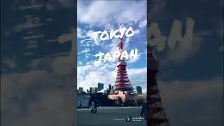 Experience Tokyo
