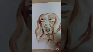 Как нарисовать собаку 🐕