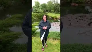 Лариса Гузеева - отзыв о нашей работе