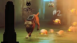 TOP Cat - Stray #2