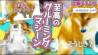 【犬猫アテレコ】来いやぁ換毛期！セルフコギ尻カットも余裕⁉なネアカサP2PRO