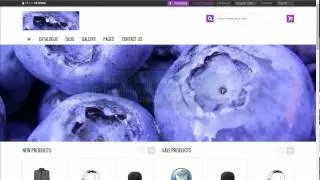 BuyShop Joomla theme - customization video manual